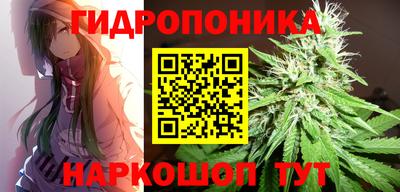 прущие грибы Азнакаево